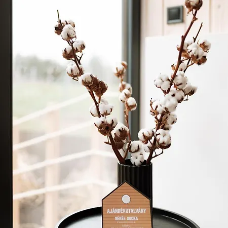 アパート Bekes Bucka Matra